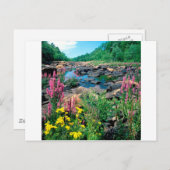 Carte Postale Lake Wisconsin River Réserve d'âge glaciaire Wisco (Devant / Derrière)