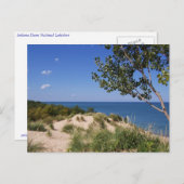 Carte Postale Lakeshore national des dunes de l'Indiana (Devant / Derrière)