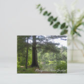 Carte Postale Lakeside Woodland (Debout devant)