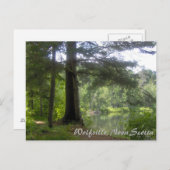Carte Postale Lakeside Woodland (Devant / Derrière)