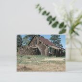 Carte Postale LakesideBarne (Debout devant)