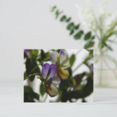 Carte Postale L'alto de Lorraine (Debout devant)