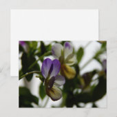 Carte Postale L'alto de Lorraine (Devant / Derrière)