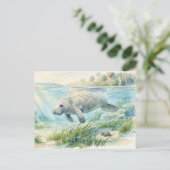 Carte Postale Lamantin de Floride Aquarelle (Debout devant)