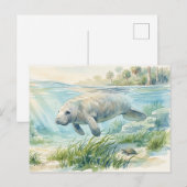 Carte Postale Lamantin de Floride Aquarelle (Devant / Derrière)