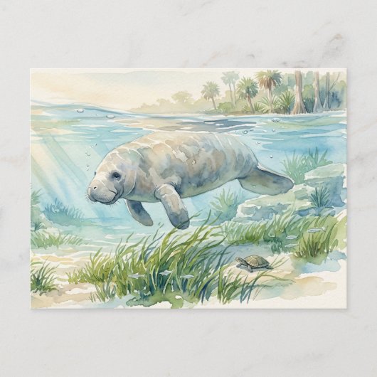 Carte Postale Lamantin de Floride Aquarelle (Devant)