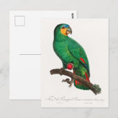 Carte Postale L'Amazone à ailes orange (Devant / Derrière)
