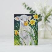 Carte Postale Lamb bébé et jonquilles de printemps aquarelle Art (Debout devant)