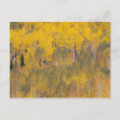 Carte Postale Lambert Hollow, peupliers (Devant)