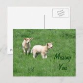 Carte postale Lambes-Baby-Missing You (Devant / Derrière)
