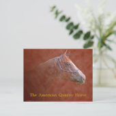 Carte Postale L'American Quarter Horse (Debout devant)