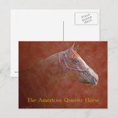 Carte Postale L'American Quarter Horse (Devant / Derrière)