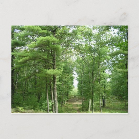 Carte Postale L'Amérique de Stonehenge, Salem, VT (Devant)