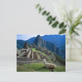 Carte Postale L'Amérique du Sud, Pérou. Un lama se repose sur (Debout devant)