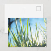 Carte Postale Lames éclairées (Devant / Derrière)