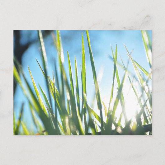 Carte Postale Lames éclairées (Devant)