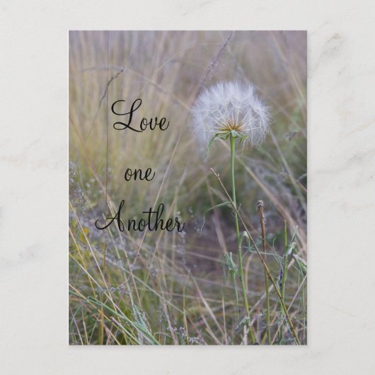 Carte Postale L'amour (Devant)