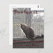 Carte Postale l'amour attend (Devant / Derrière)