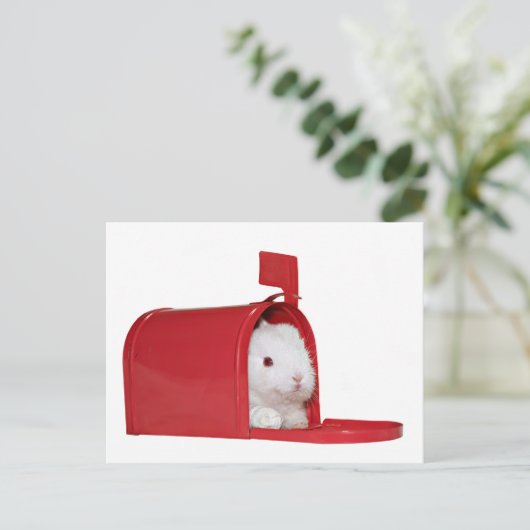 Carte Postale L'amour dans le courrier (Debout devant)