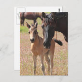 Carte Postale L'amour de la mère (Devant / Derrière)