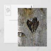 Carte Postale L'amour de la nature (Devant / Derrière)