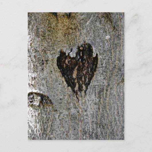 Carte Postale L'amour de la nature (Devant)