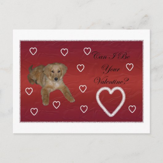 Carte Postale L'amour des chiots (Devant)