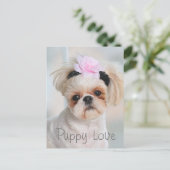 Carte Postale L'amour des chiots (Debout devant)