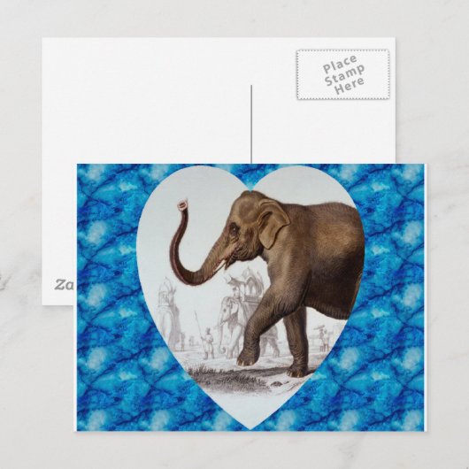 Carte Postale L'amour des éléphants (Devant / Derrière)