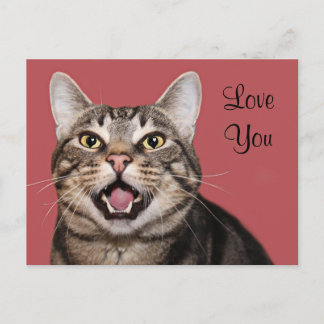 Carte Postale L'amour du chat Tabby