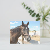 Carte Postale L'amour du cheval (Debout devant)