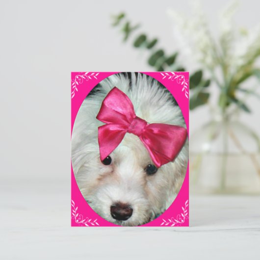 Carte Postale L'amour du chiot_ (Debout devant)