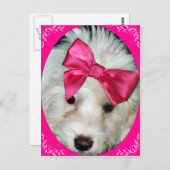 Carte Postale L'amour du chiot_ (Devant / Derrière)