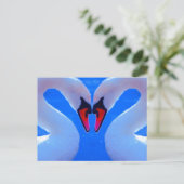 Carte Postale L'Amour Du Cygne, Coeur Romantique En Forme De Cou (Debout devant)