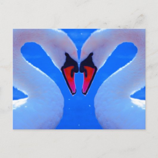 Carte Postale L'Amour Du Cygne, Coeur Romantique En Forme De Cou (Devant)