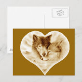 Carte Postale L'amour du loup (Devant / Derrière)