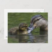 Carte Postale L'amour d'une mère (Devant / Derrière)