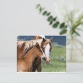 Carte Postale L'amour d'une mère (Debout devant)