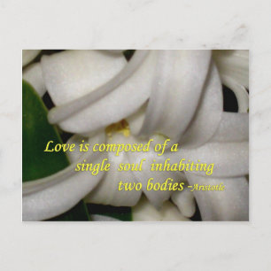 Carte Postale L'amour est