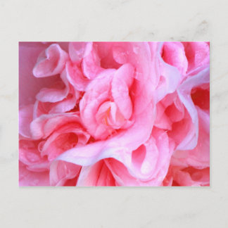 Carte Postale L'amour est_