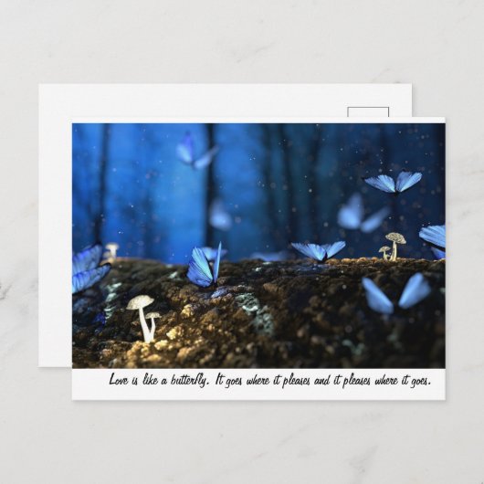 Carte Postale L'amour est comme un papillon (Devant / Derrière)