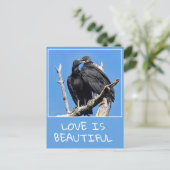 Carte Postale L'Amour Est De Belles Vautours (Debout devant)