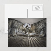 Carte Postale l'amour est... le partage (Devant / Derrière)