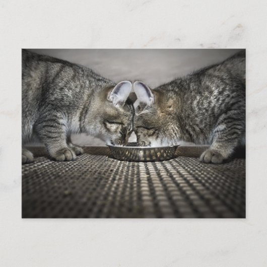 Carte Postale l'amour est... le partage (Devant)