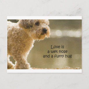 Carte Postale L'Amour Est Un Nez Humide Et Un Gros Coin De Furie