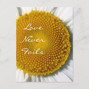 Carte Postale L'amour ne manque jamais Daisy 1 Corinthiens 13