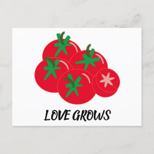 Carte Postale L'amour pousse les tomates rouges