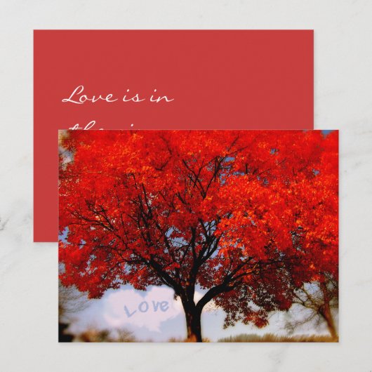 Carte Postale L'amour romantique est dans l'air Arbre automnal r (Devant / Derrière)