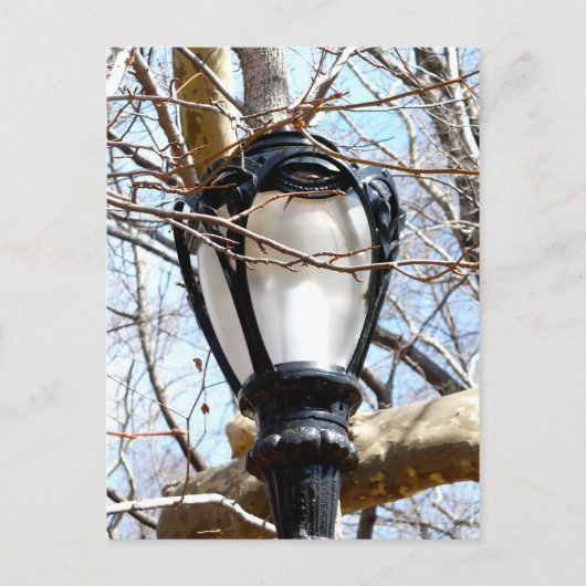 Carte Postale Lampe Post New York Central Park (Devant)