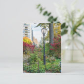 Carte Postale Lamppost et banc (Debout devant)
